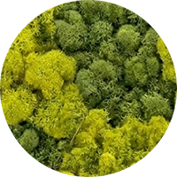 swatch-deep-forest-mix