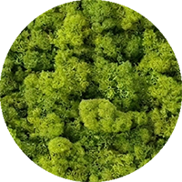 swatch-svetle-zelena